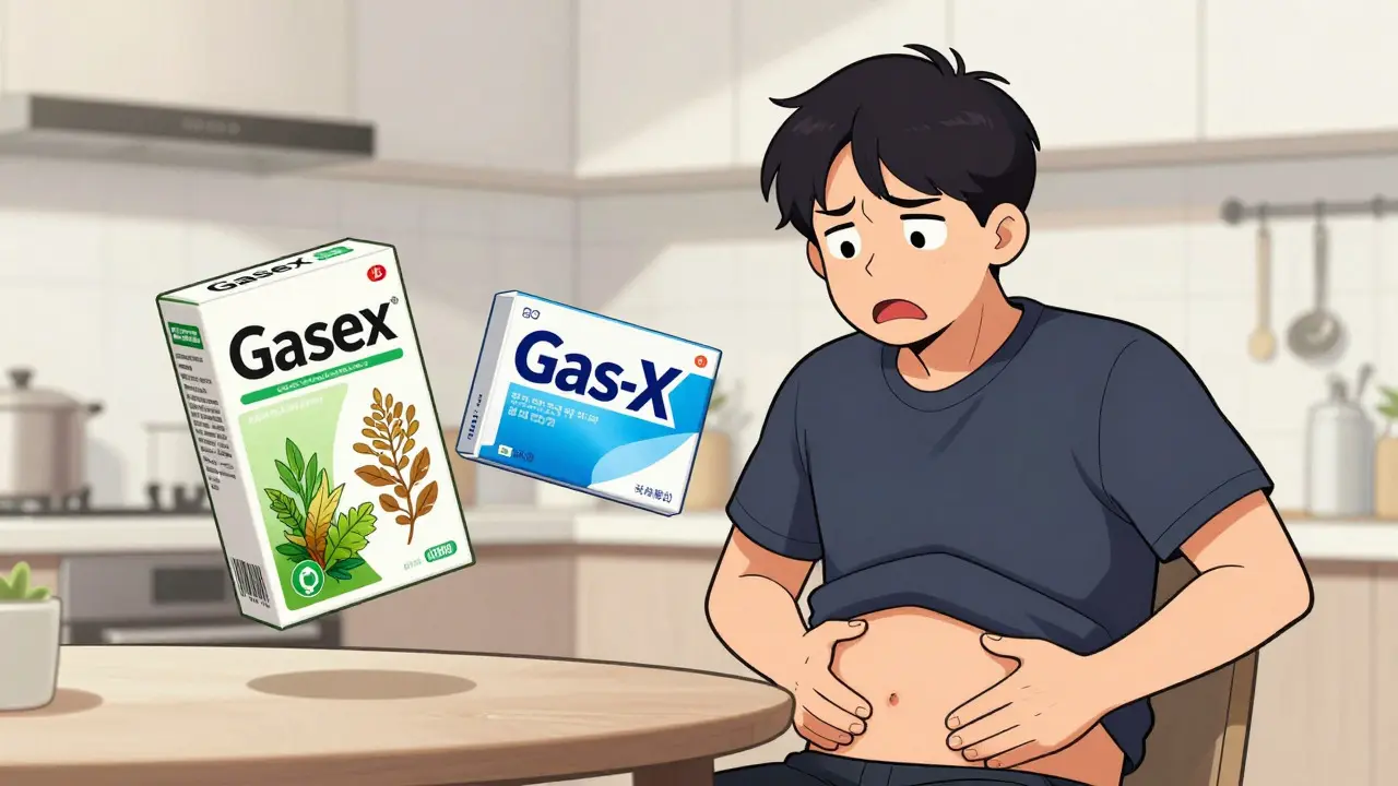 How to Buy Gasex Online: Where to Find Himalaya Herbals & Gas-X