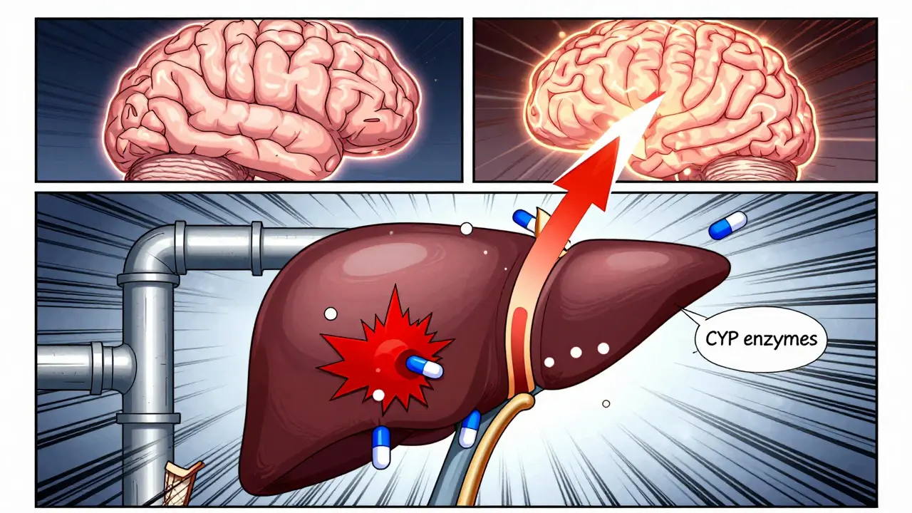 Stylized liver with clogged enzyme pipes blocking pills, cartoon